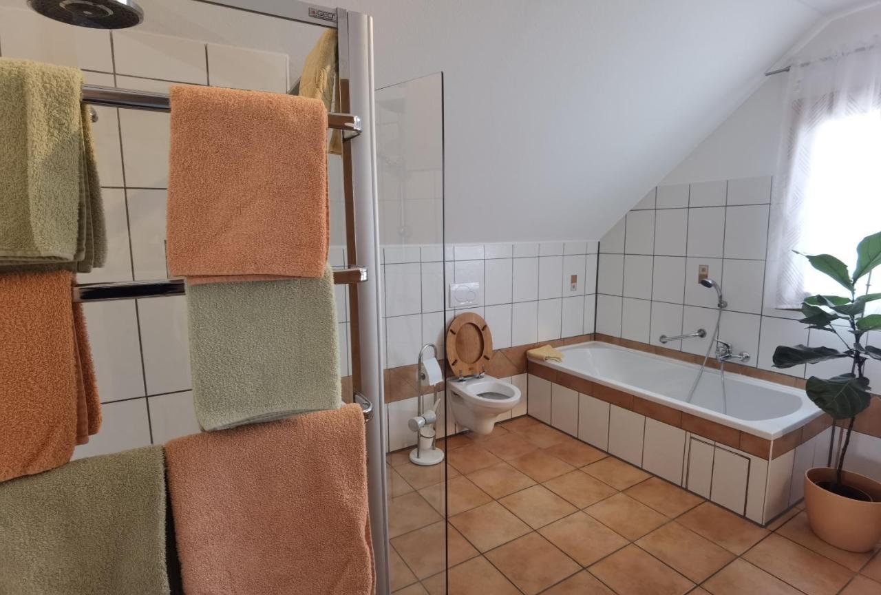 Riedblick Bad Buchau