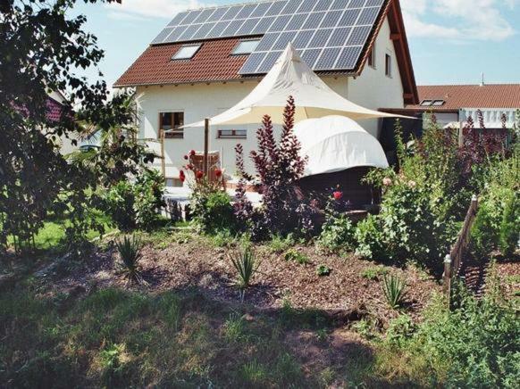 Riedblick Bad Buchau